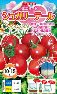 igc g}g VK[e[(c~܂^Cv)@