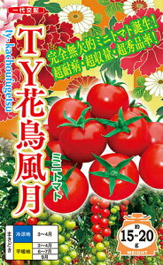 igc g}g TYԒ(傤ӂ)@