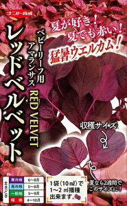 igc xr[[t bhxxbhiԃA}TXj1dl