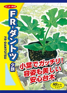 ナント種苗 夕顔 西瓜用台木 FR-ダントツ 2000粒