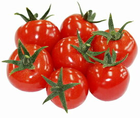 ナント種苗 トマト うす皮ミニトマト　ピンキー　小袋
