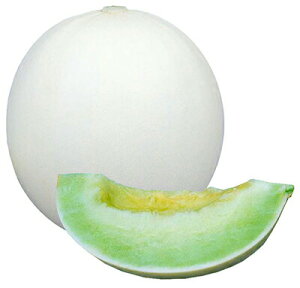  igc  q ΂̋Pi݂ǂ̂₫j100