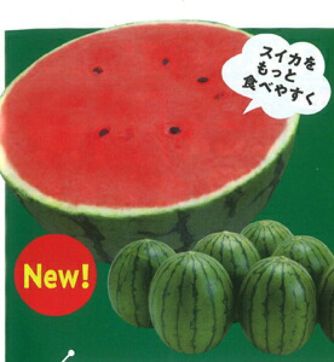 楽天市場 たね ナント種苗 小玉スイカ種子 ピノ ガール 100粒 種苗 園芸ショップ 種もり