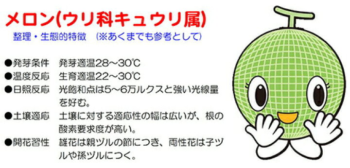 楽天市場 たね ナント種苗 メロン 種子 キューピット 超高糖度ノーネットメロン 小袋 種苗 園芸ショップ 種もり