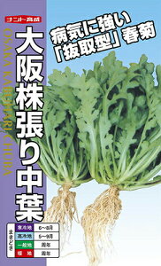 igc VMN ㊔蒆t񂬂i֐^^Cvj1L