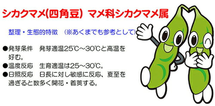 ナント種苗 シカクマメ わこさま 1dl 種苗・園芸ショップ 種もり シカクマメの種 わこさま 1dl 野菜の種