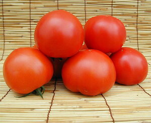 igc g}g Ƃ܂Ɓ@TYĘa@500