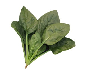 igc zE\E @@ ق񂻂@̉ā@1L