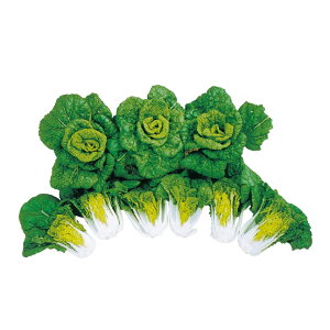 ̎@nNTC@`C؁@LR[g 1000