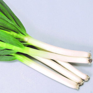 Rzc@lM K ˂@m{K@20ml