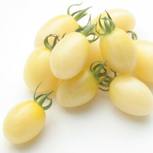 Rzc@g}g Ƃ܂Ɓ@~L[x[v~jg}g]@100