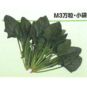 Rzc@zE\E @@ ق񂻂@Ahu19@@@