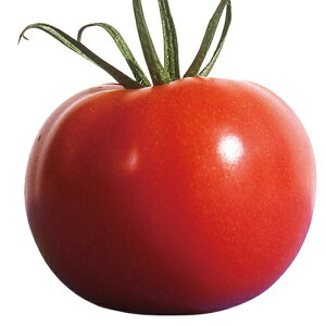 Rzc@g}g Ƃ܂Ɓ@񍆁@