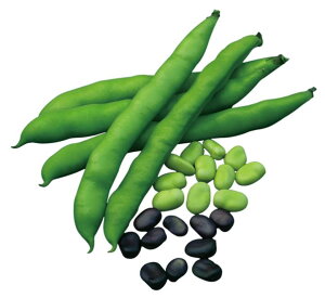 Rzc@\} \ ܂߁@݂ǂ肻瓤@1L