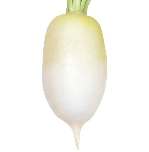 Rzc@_CR 卪 @O卪@20ml