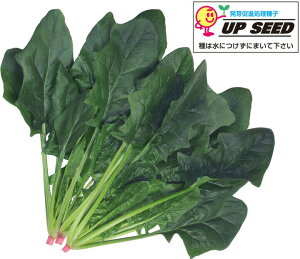 Rzc@zE\E @@ ق񂻂@Ahu11@@@