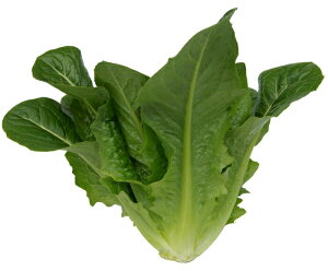 Rzc@^X@I[vn[g@R[g1000