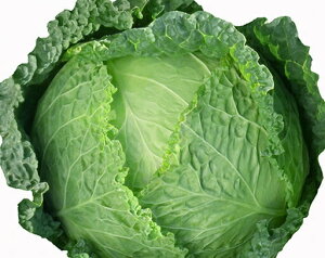 Rzc@Lxc × ׂ@Gy[@2000