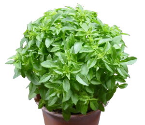 Rzc@n[u oW@v`{[@R[g500