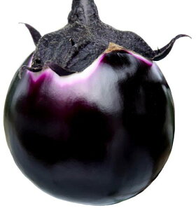 山陽種苗 ナス 茄子 なす マルボーノ 100粒