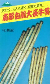 たね 佐藤政行種苗 ゴボウ　ごぼう　南部白肌大長牛蒡　小袋