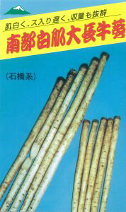  sc S{E@ڂ@암咷@