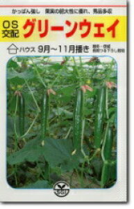 V[h@LE イ ӉZ@O[EFC@350