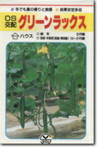 V[h@LE イ ӉZ@O[bNX@350