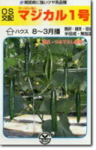 V[h@LE イ ӉZ@}WJ1 @350