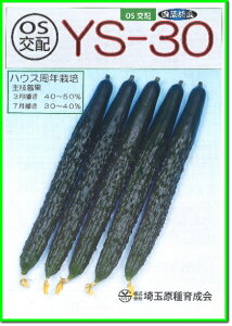V[h LE イ ӉZ@ YS-30@350