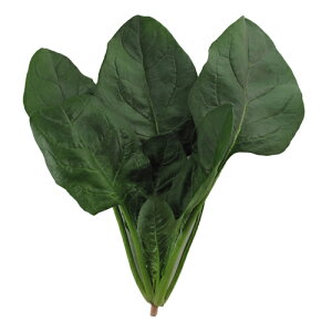 {_ zE\E @@ ق񂻂@obn@