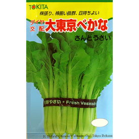 トキタ種苗 ツケナ 漬菜 つけな　大東京べかな　1L