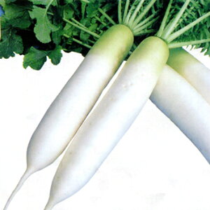 gL^c _CR 卪 @YRʑY@2dl