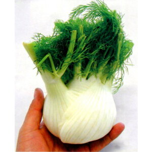 gL^c C^A tBmbLI@TSGI-2018@R[g1000