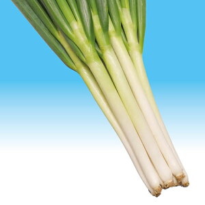 gL^c lM K ˂@~̎@1dl