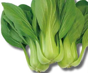 gL^c `QTC [ @TSX-317@2dl