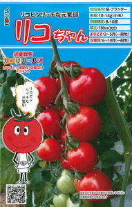 gL^c ~jg}g h{TvK[Y@R@