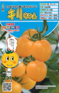 gL^c ~jg}g h{TvK[Y@L@