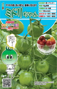 gL^c ~jg}g h{TvK[Y@~h@