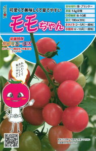 gL^c ~jg}g h{TvK[Y@@