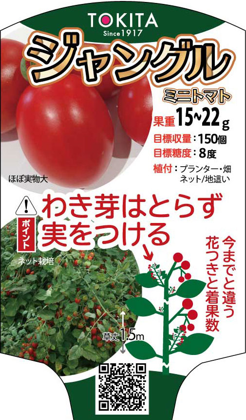 わき芽はとらず 実をつける新しいタイプのミニトマト トキタ種苗 買物 ミニトマト ジャングルトマト 100粒