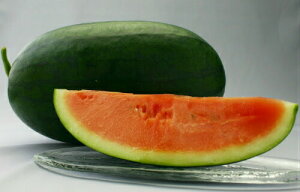 gL^c  ̂܂@