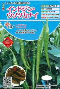 gL^c gEKV ChWEE\cJiC 