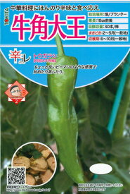 トキタ種苗 トウガラシ 牛角大王　小袋