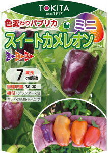 gL^c s[} XC[gJIE~j@10