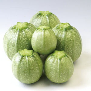 gL^c YbL[j p[mEI[u@100