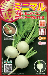 gL^c 卪 ~j}_CR @