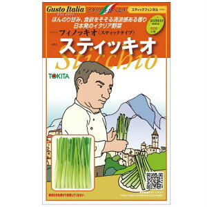 トキタ種苗 イタリア野菜 スティッキオ 15000粒