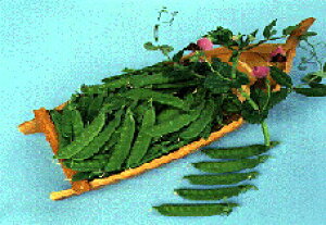 gL^c GhE ǂ 氓@䂤@1L