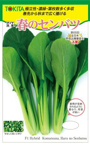 gL^c R}ci t̃Zoc@2dl